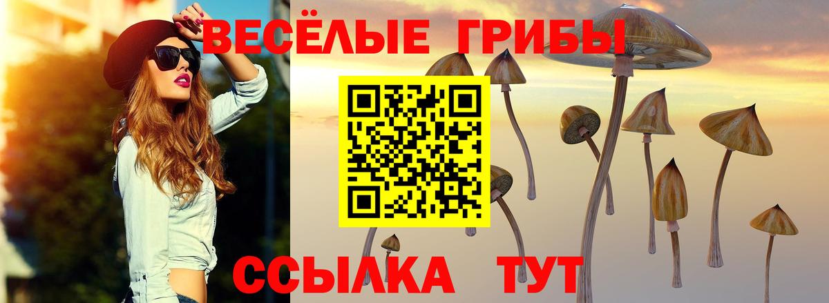 Псилоцибиновые грибы GOLDEN TEACHER Барабинск