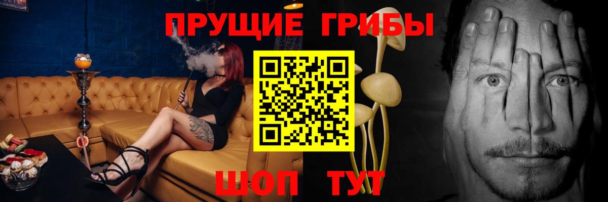Барабинск  Галлюциногенные грибы прущие грибы  Вход с VPN 